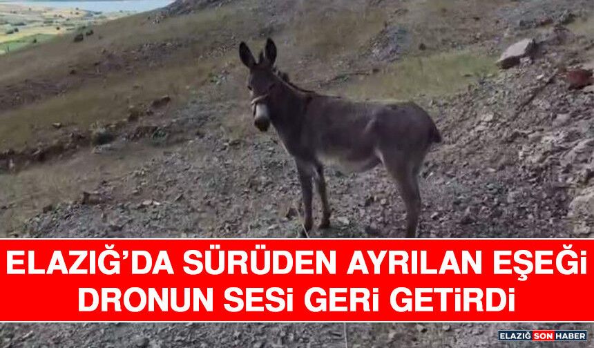 Elazığ’da Sürüden Ayrılan Eşeği Dronun Sesi Geri Getirdi