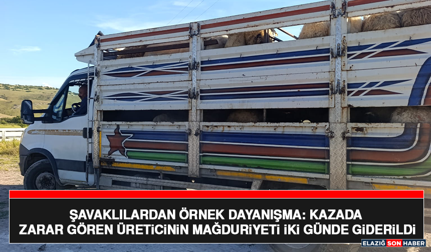 Şavaklılardan Örnek Dayanışma: Kazada Zarar Gören Üreticinin Mağduriyeti İki Günde Giderildi