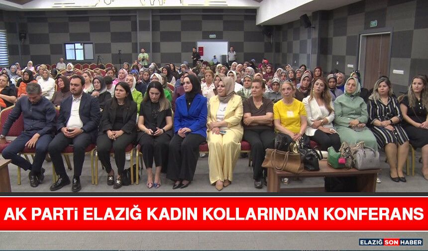 AK Parti Elazığ Kadın Kollarından Konferans