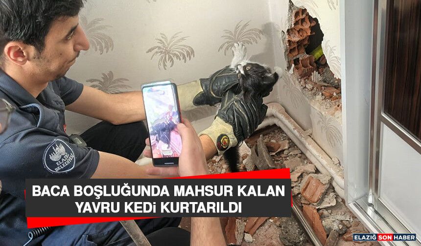 Baca Boşluğunda Mahsur Kalan Yavru Kedi Kurtarıldı