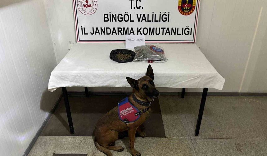 Bingöl'de haklarında kesinleşmiş hapis cezası bulunan 4 zanlı tutuklandı