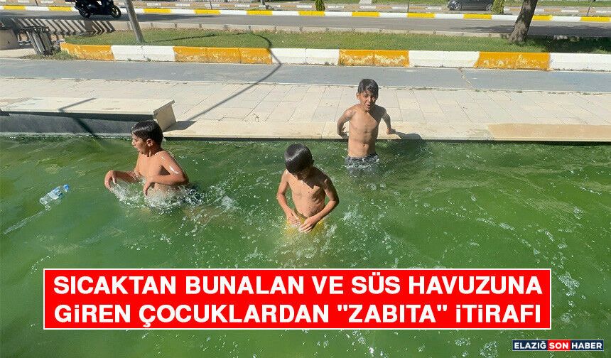 Sıcaktan Bunalan ve Süs Havuzuna Giren Çocuklardan "Zabıta" İtirafı
