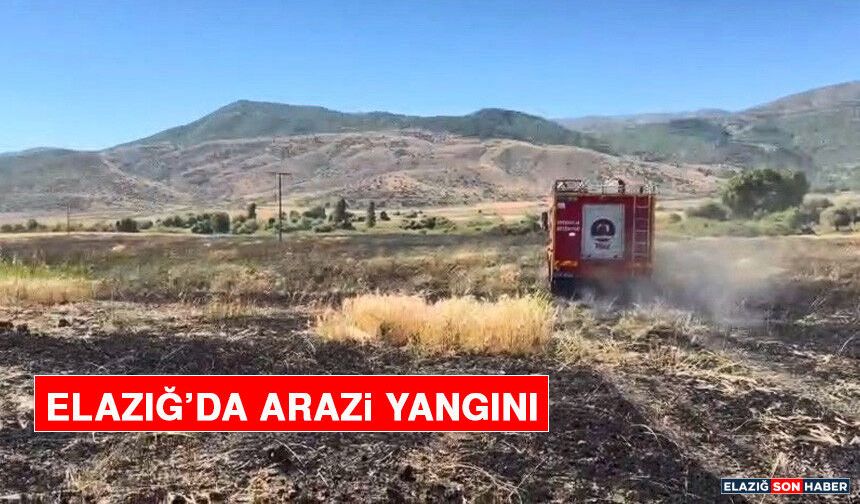 Elazığ’da Arazi Yangını