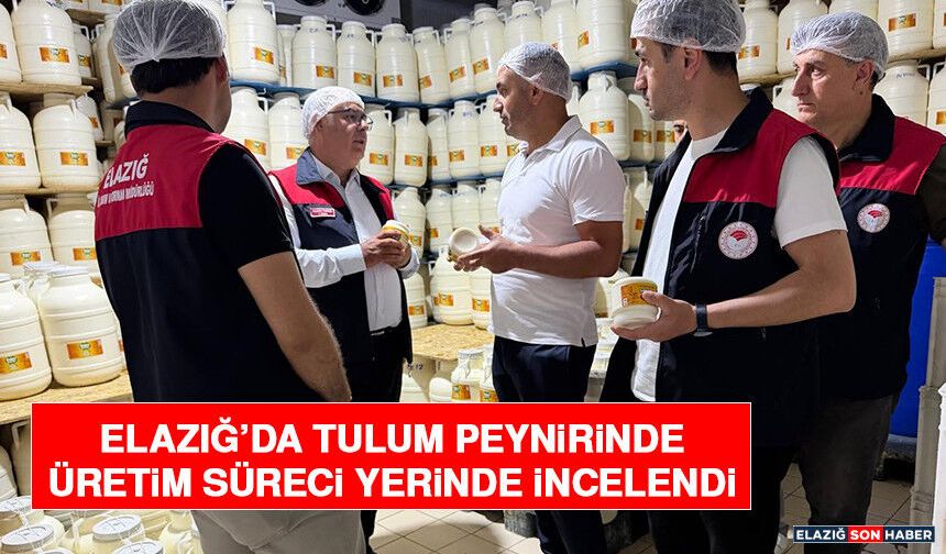 Elazığ’da Tulum Peynirinde Üretim Süreci Yerinde İncelendi