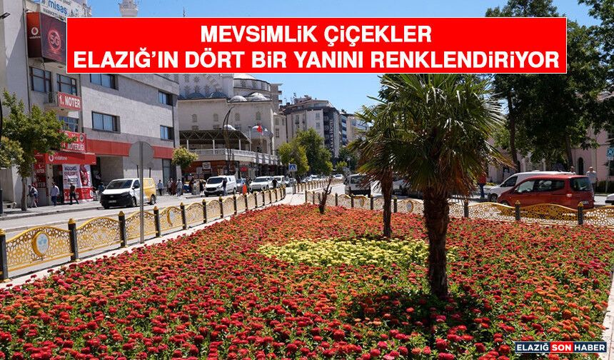 Mevsimlik Çiçekler Elazığ'ın Dört Bir Yanını Renklendiriyor
