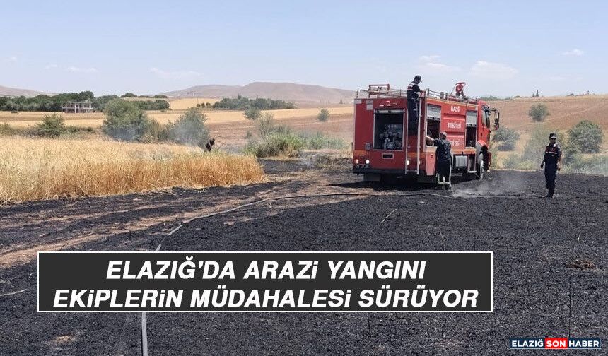 Elazığ'da Arazi Yangını Ekiplerin Müdahalesi Sürüyor