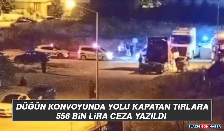 Düğün Konvoyunda Yolu Kapatan Tırlara 556 Bin Lira Ceza Yazıldı