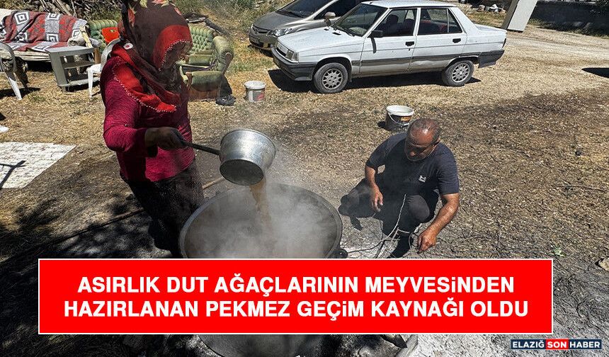 Asırlık Dut Ağaçlarının Meyvesinden Hazırlanan Pekmez Geçim Kaynağı Oldu