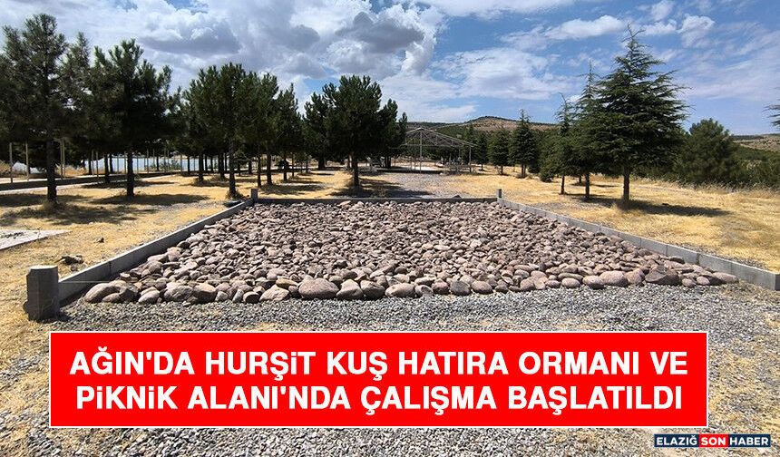 Ağın'da Hurşit Kuş Hatıra Ormanı ve Piknik Alanı'nda Çalışma Başlatıldı
