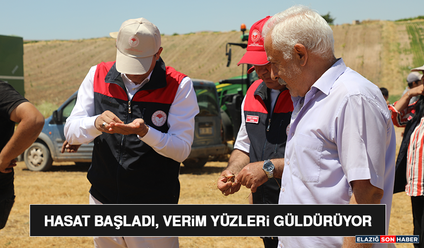 Hasat Başladı, Verim Yüzleri Güldürüyor