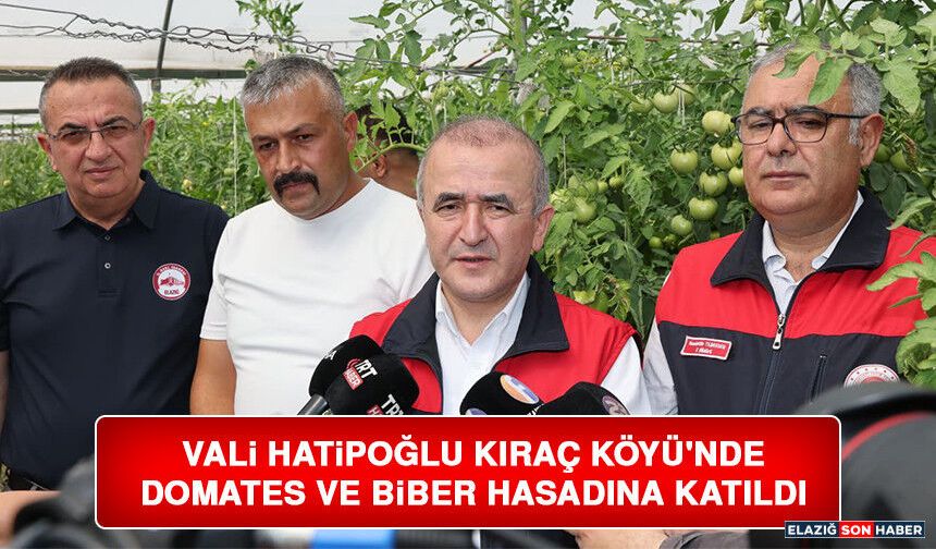 Vali Hatipoğlu Kıraç Köyü'nde Domates ve Biber Hasadına Katıldı