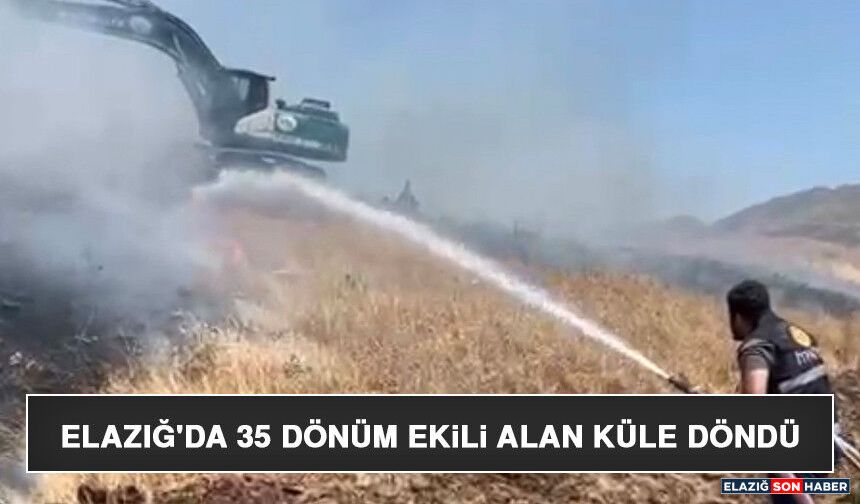 Elazığ'da 35 Dönüm Ekili Alan Küle Döndü