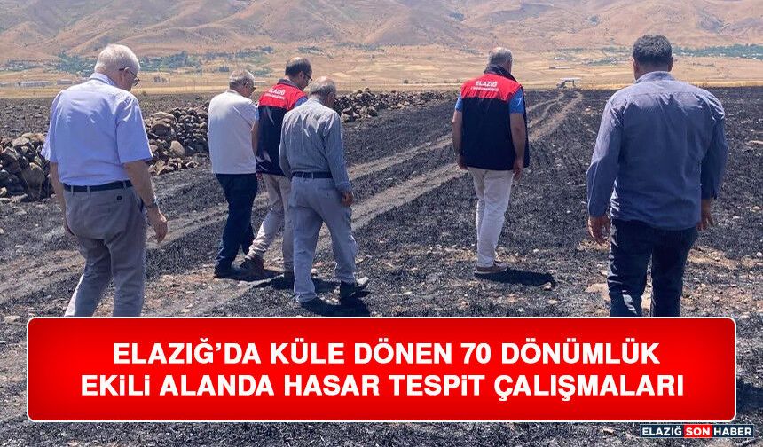 Elazığ’da Küle Dönen 70 Dönümlük Ekili Alanda Hasar Tespit Çalışmaları