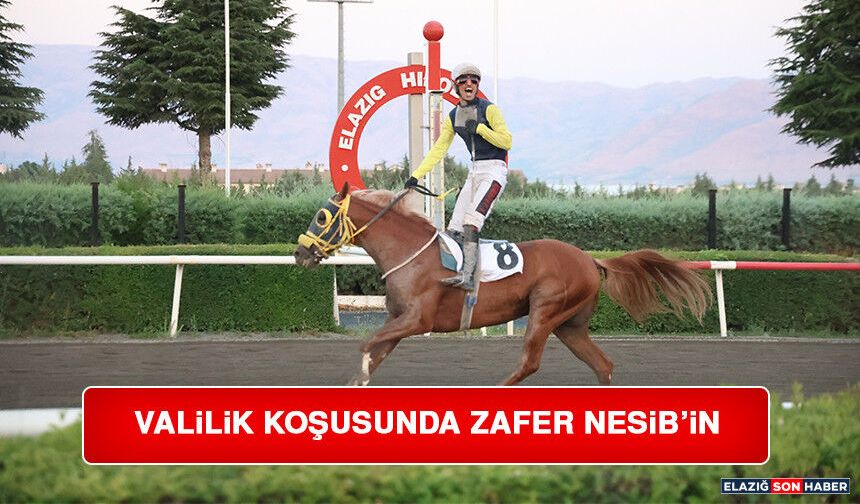 Valilik Koşusunda Zafer Nesib’in