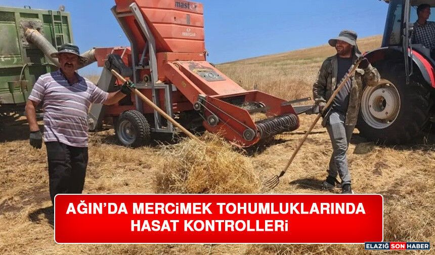 Ağın’da Mercimek Tohumluklarında Hasat Kontrolleri