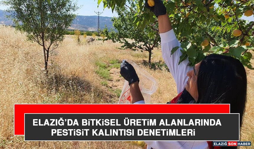 Elazığ’da Bitkisel Üretim Alanlarında Pestisit Kalıntısı Denetimleri