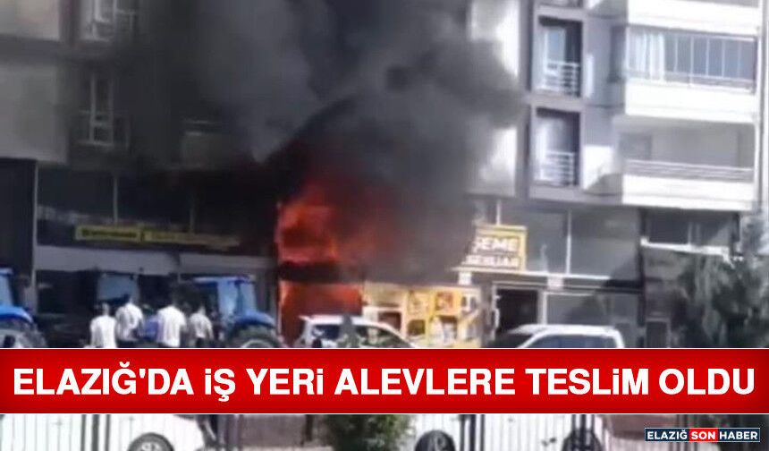 Elazığ'da İş Yeri Alevlere Teslim Oldu