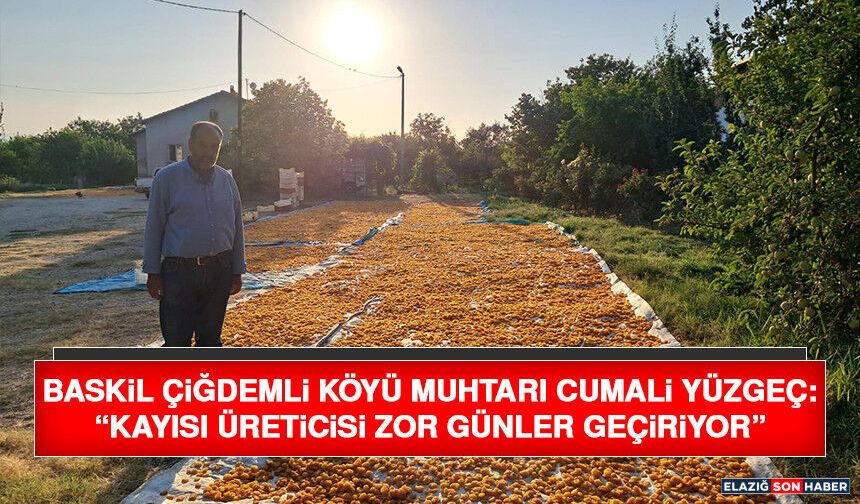 Baskil Çiğdemli Köyü Muhtarı Cumali Yüzgeç: “Kayısı Üreticisi Zor Günler Geçiriyor”