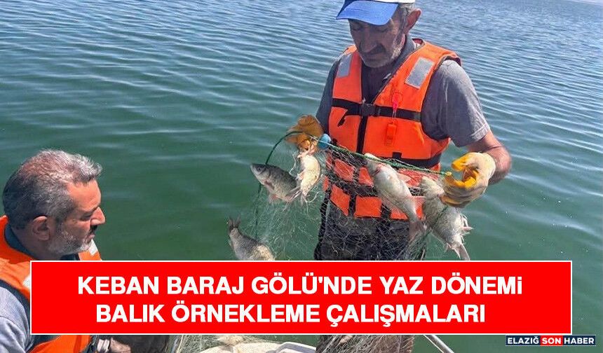Keban Baraj Gölü'nde Yaz Dönemi Balık Örnekleme Çalışmaları