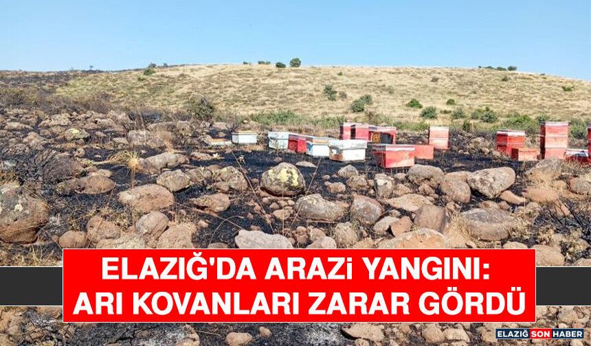Elazığ'da Arazi Yangını: Arı Kovanları Zarar Gördü
