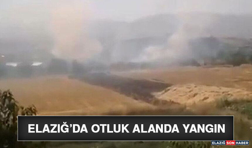 Elazığ’da Otluk Alanda Yangın