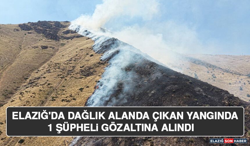 Elazığ'da Dağlık Alanda Çıkan Yangında 1 Şüpheli Gözaltına Alındı