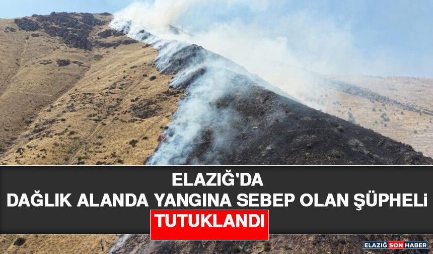 Elazığ'da Dağlık Alanda Yangına Sebep Olan Şüpheli Tutuklandı