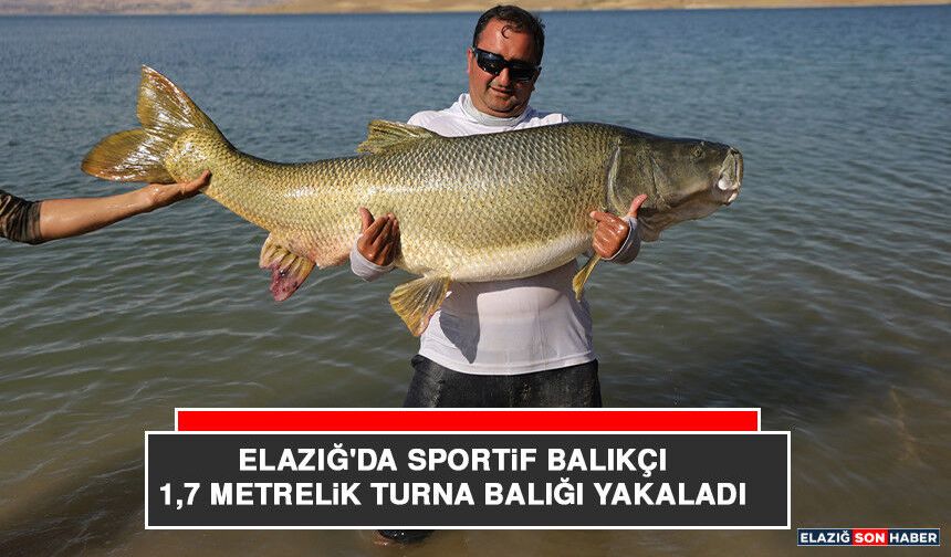 Elazığ'da Sportif Balıkçı 1,7 Metrelik Turna Balığı Yakaladı