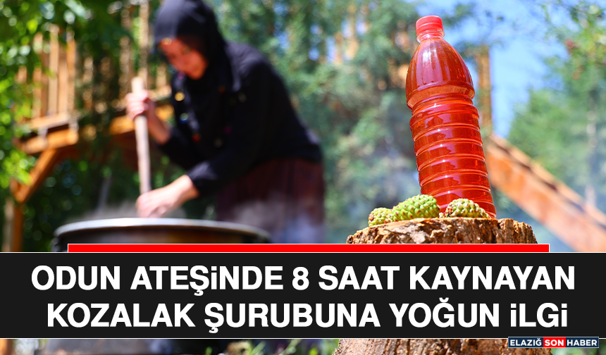 Odun Ateşinde 8 Saat Kaynayan Kozalak Şurubuna Yoğun İlgi