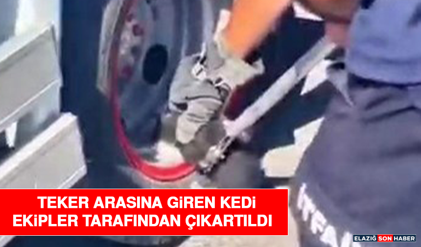 Teker Arasına Giren Kedi Ekipler Tarafından Çıkartıldı