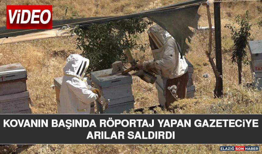 Röportaj Sırasında Arılar Saldırdı: Kovan Başında Zor Anlar Yaşadı