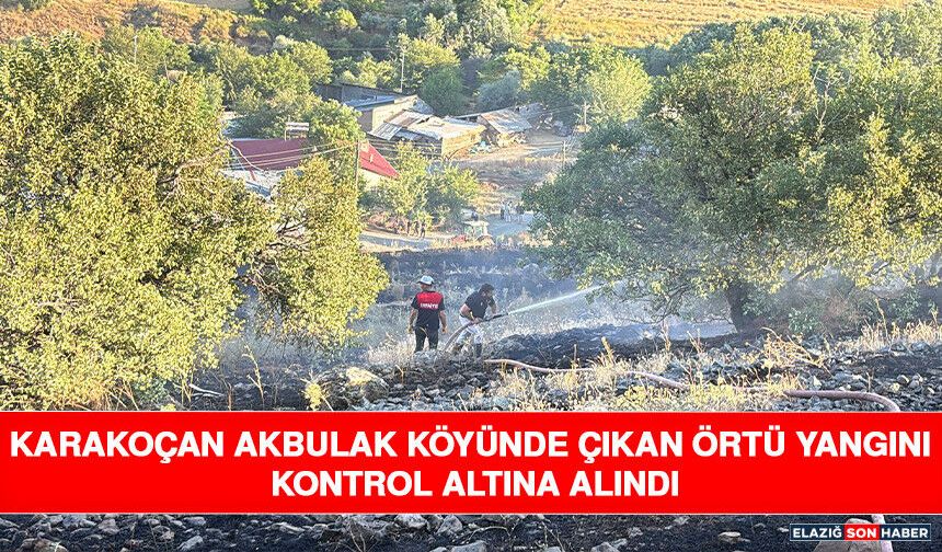 Karakoçan Akbulak Köyünde Çıkan Örtü Yangını Kontrol Altına Alındı