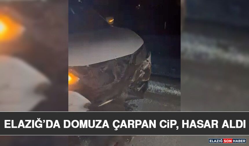 Elazığ’da Domuza Çarpan Cip, Hasar Aldı
