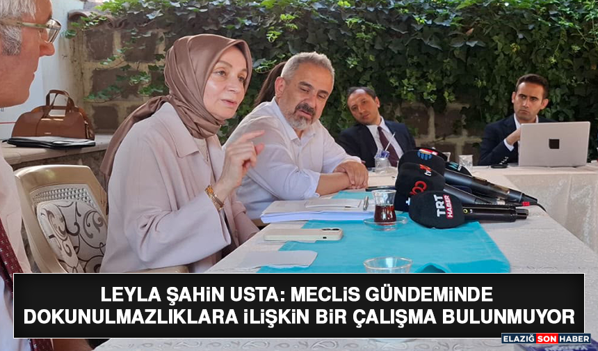 Leyla Şahin Usta: Meclis Gündeminde Dokunulmazlıklara İlişkin Bir Çalışma Bulunmuyor