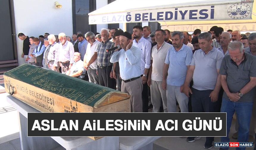 Aslan Ailesinin Acı Günü