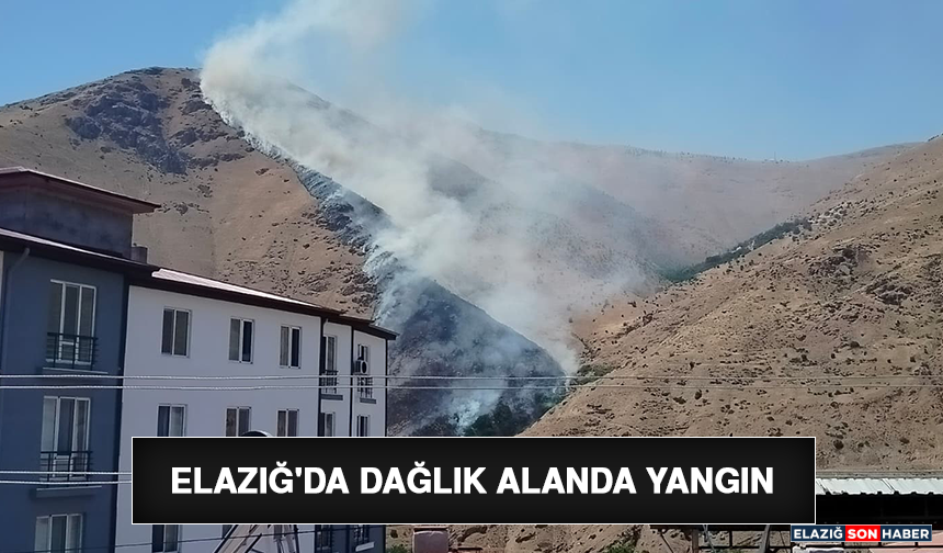 Elazığ'da Dağlık Alanda Yangın