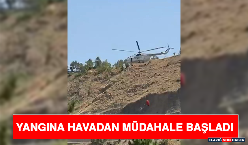 Yangına Havadan Müdahale Başladı