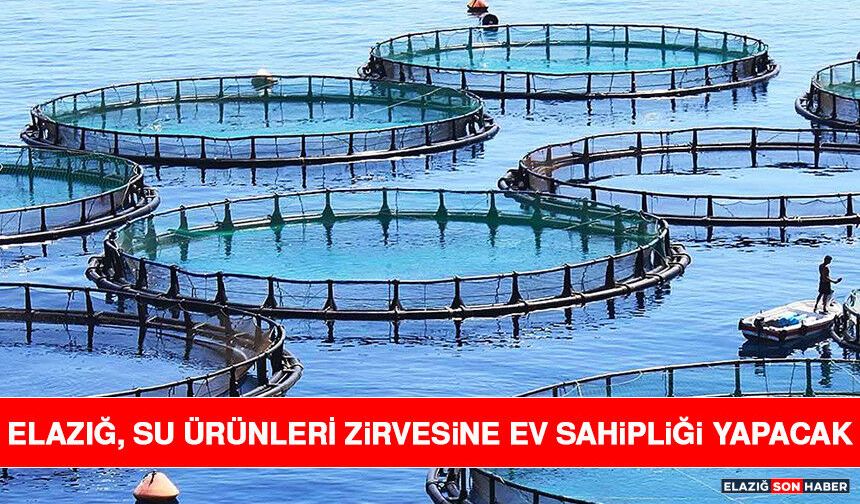 Elazığ, Su Ürünleri Zirvesine Ev Sahipliği Yapacak