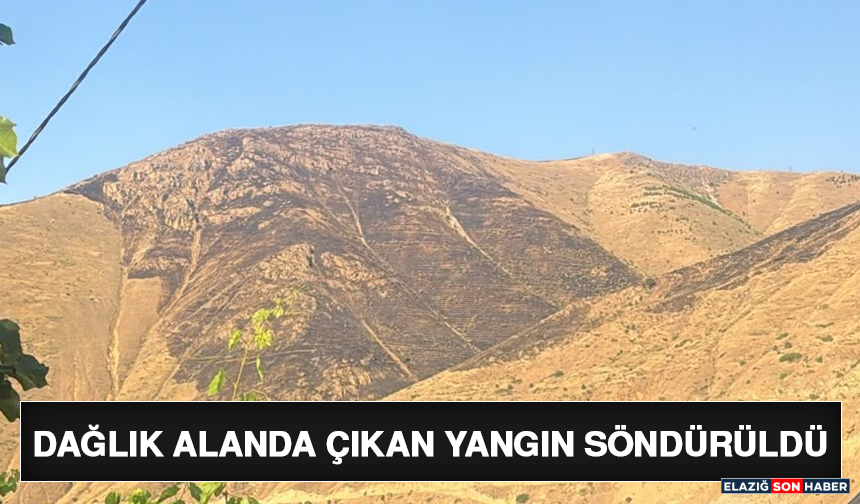 Dağlık Alanda Çıkan Yangın Söndürüldü