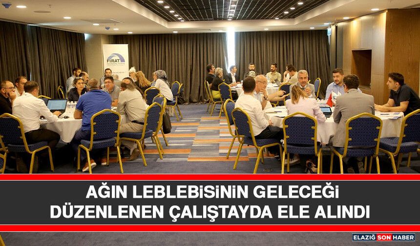 Ağın Leblebisinin Geleceği Düzenlenen Çalıştayda Ele Alındı