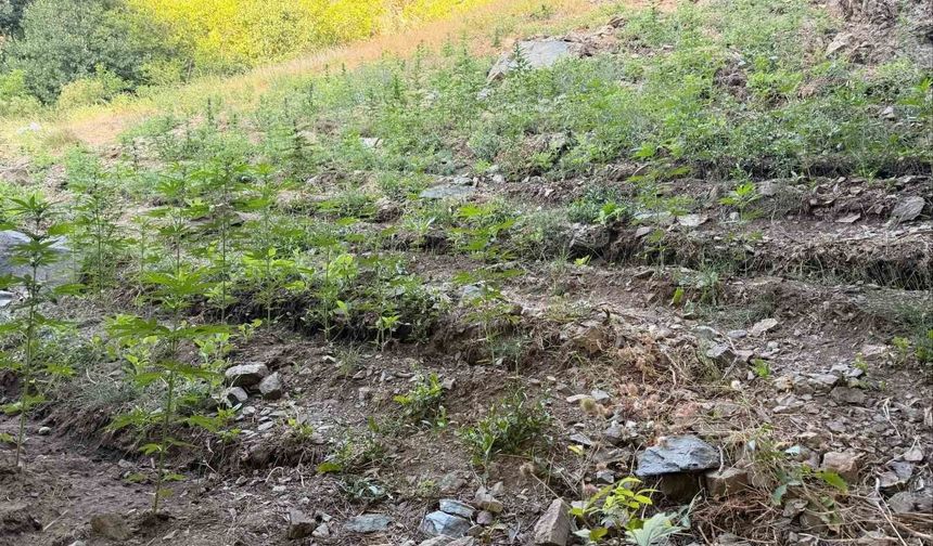 Bingöl'de çeşitli suçlardan 76 şüpheli yakalandı