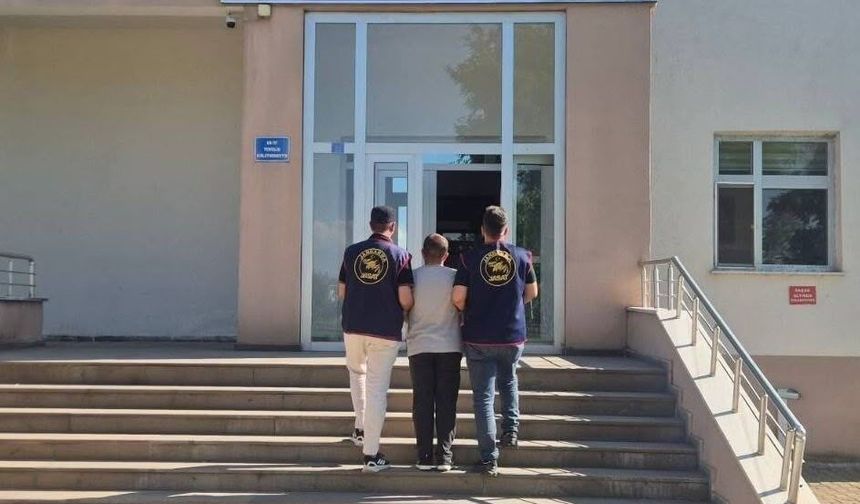 Bingöl'de huzur ve güvenlik operasyonları