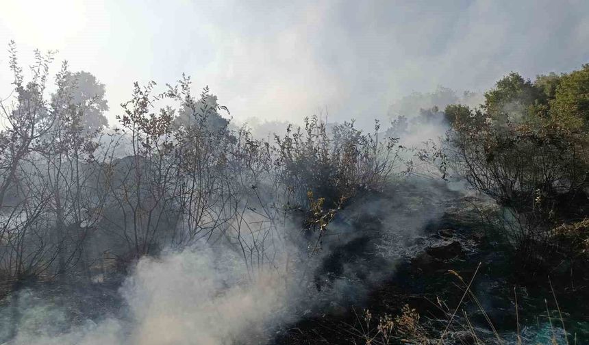 Bingöl'de orman ve mera yangınları söndürüldü