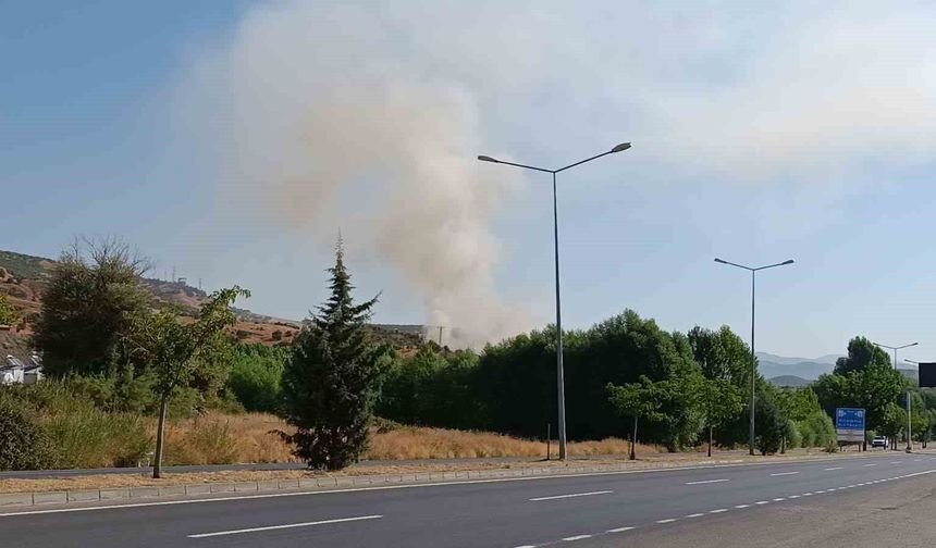 Bingöl'de otluk alanda çıkan yangın büyümeden söndürüldü