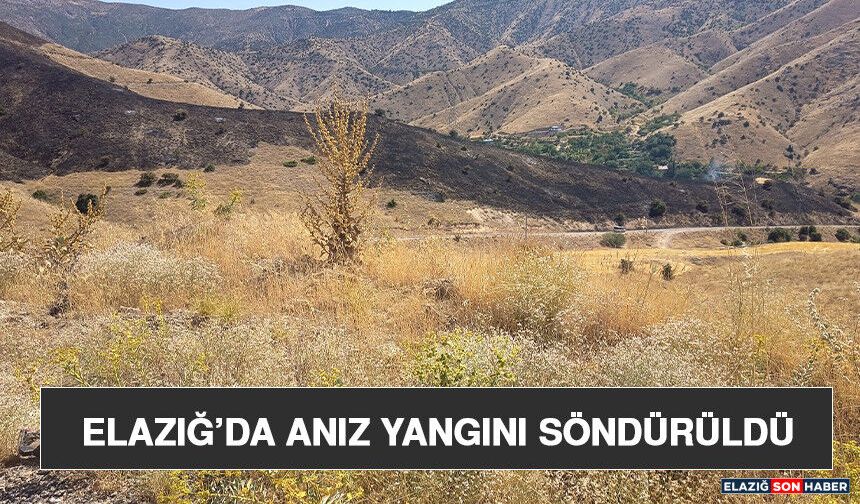 Elazığ’da Anız Yangını Söndürüldü