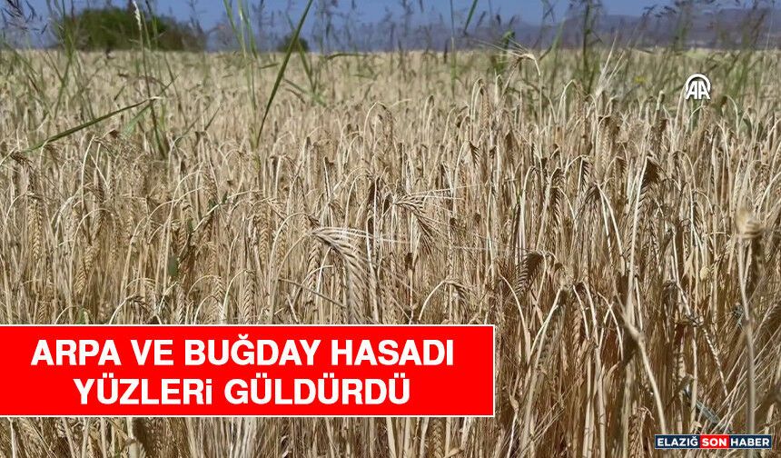 Arpa ve Buğday Hasadı Yüzleri Güldürdü