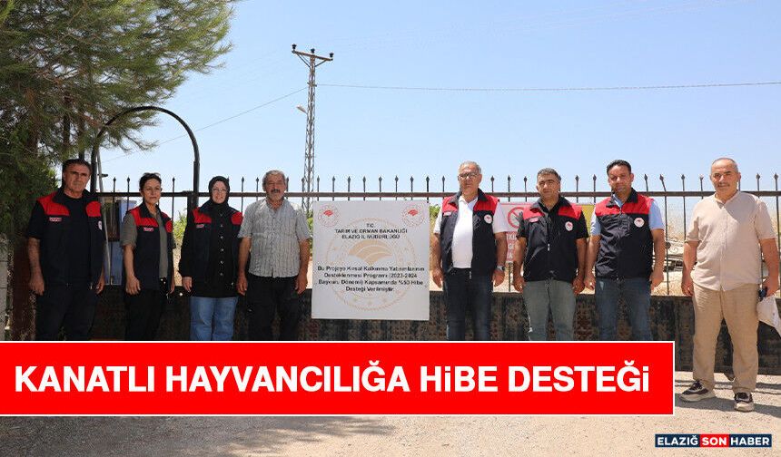 Kanatlı Hayvancılığa Hibe Desteği