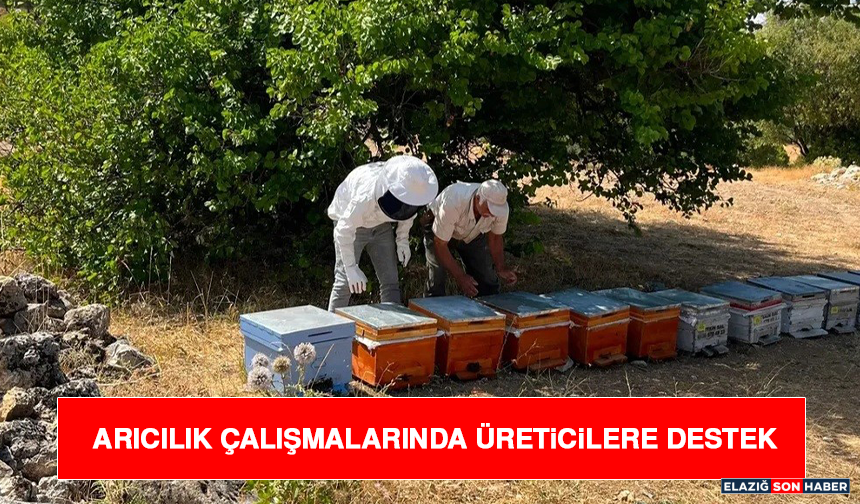Arıcılık Çalışmalarında Üreticilere Destek