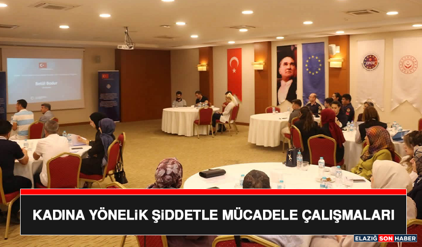 Kadına Yönelik Şiddetle Mücadele Çalışmaları