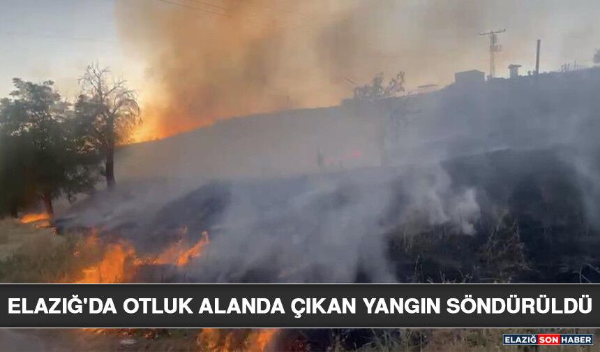 Elazığ'da Otluk Alanda Çıkan Yangın Söndürüldü